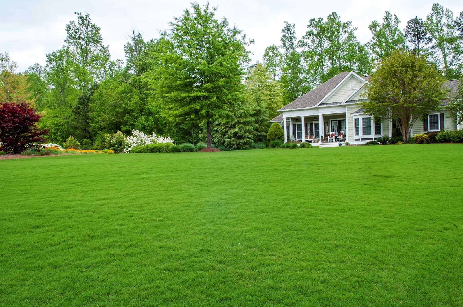 Как правильно вырастить газонную траву