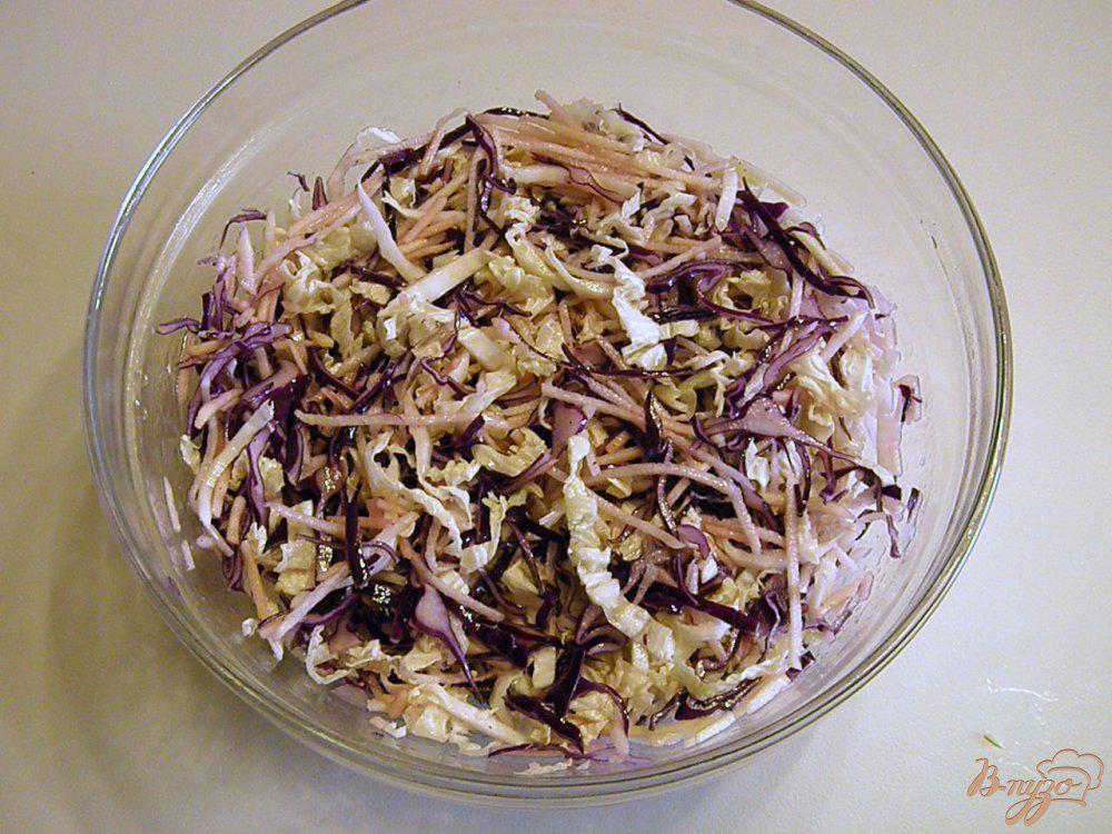 Полезные свойства черной редьки