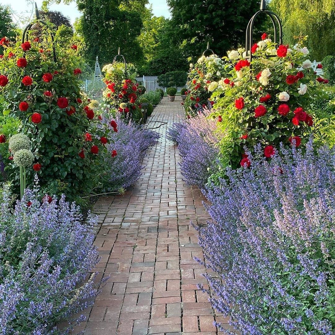 Оформление двора цветниками. Фото