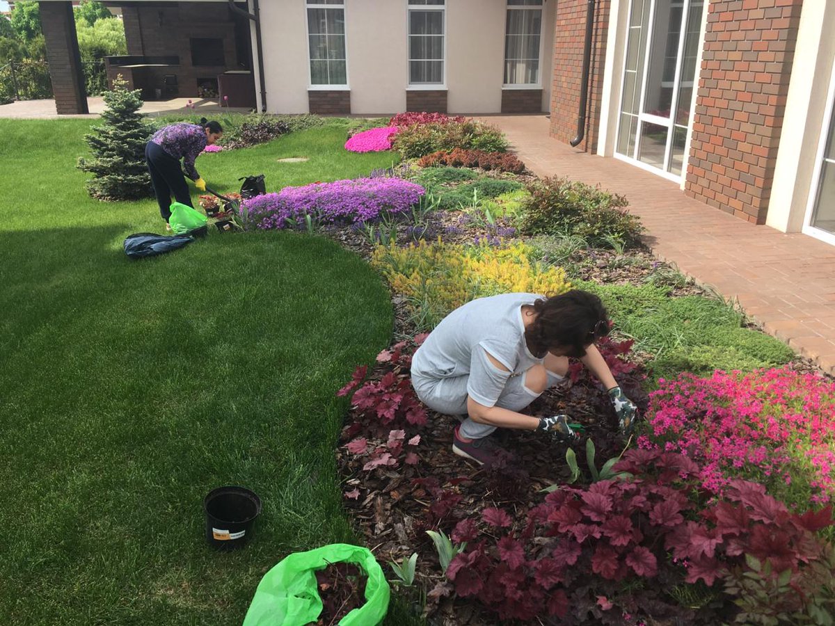 Выращивание брусники в саду: секреты успешного урожая