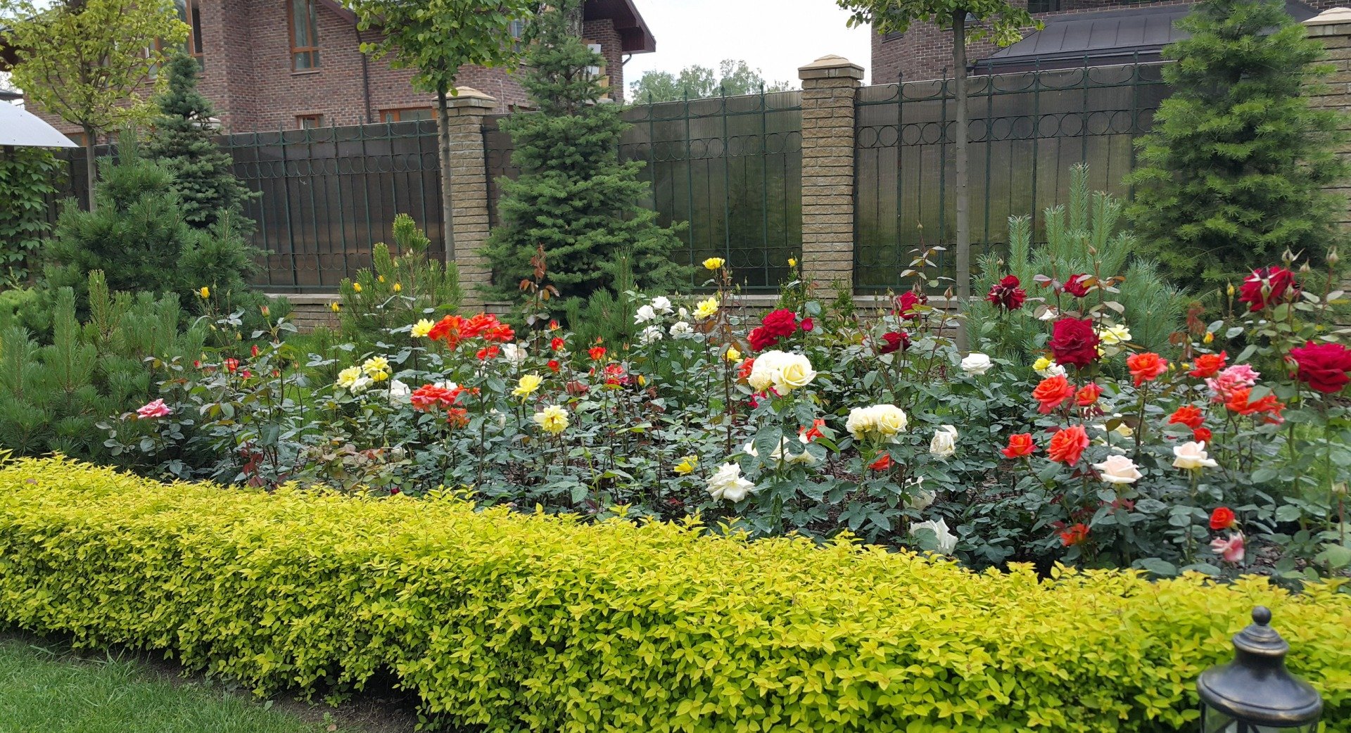 Розарий своими руками: создаем красоту в своем саду