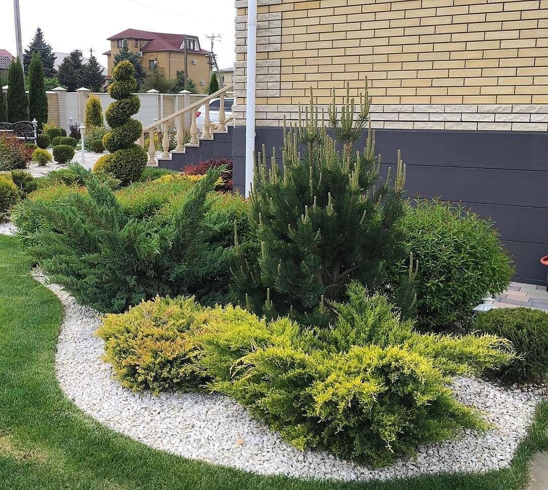 Можжевельник в ландшафтном дизайне