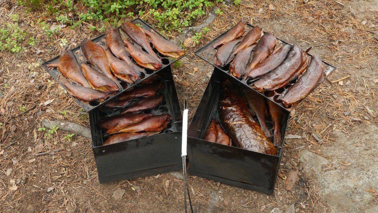 Дрова для копчения рыбы: выбираем лучший вариант