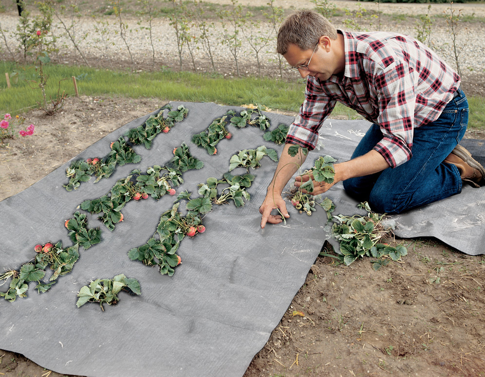 Варианты применения геотекстиля при обустройстве участка