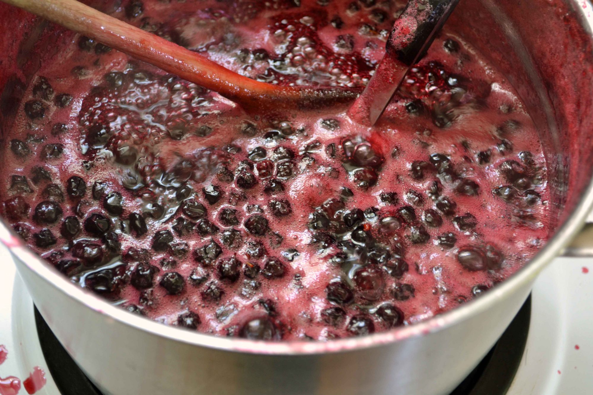 Ирга канадская: ароматный и полезный садовый кустарник