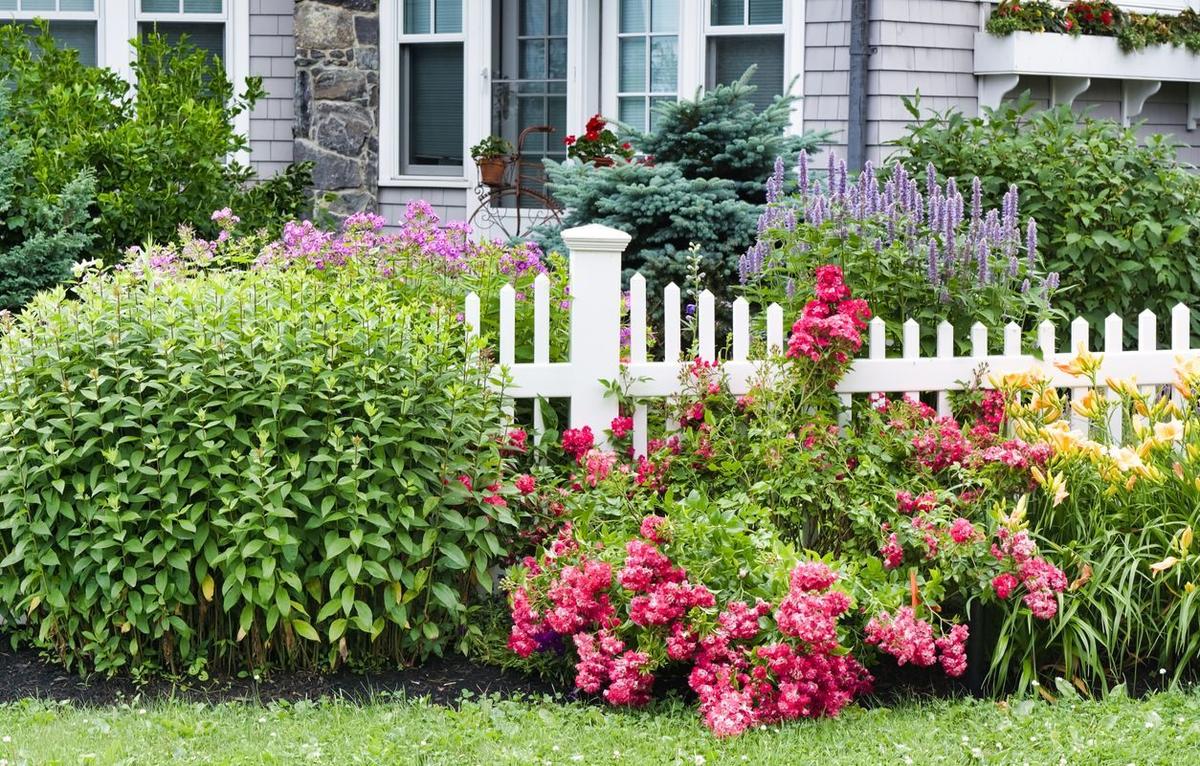 Оформление палисадника: создание красивого уголка природы