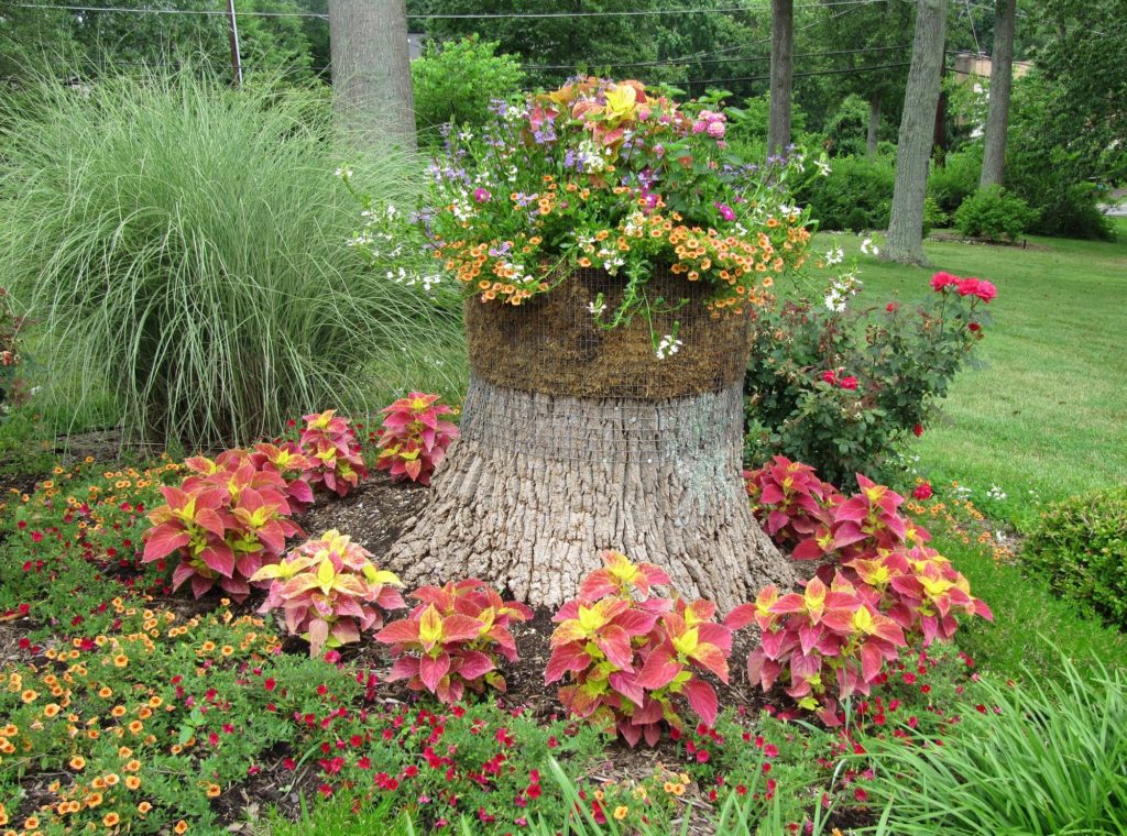 Как украсить пень в саду