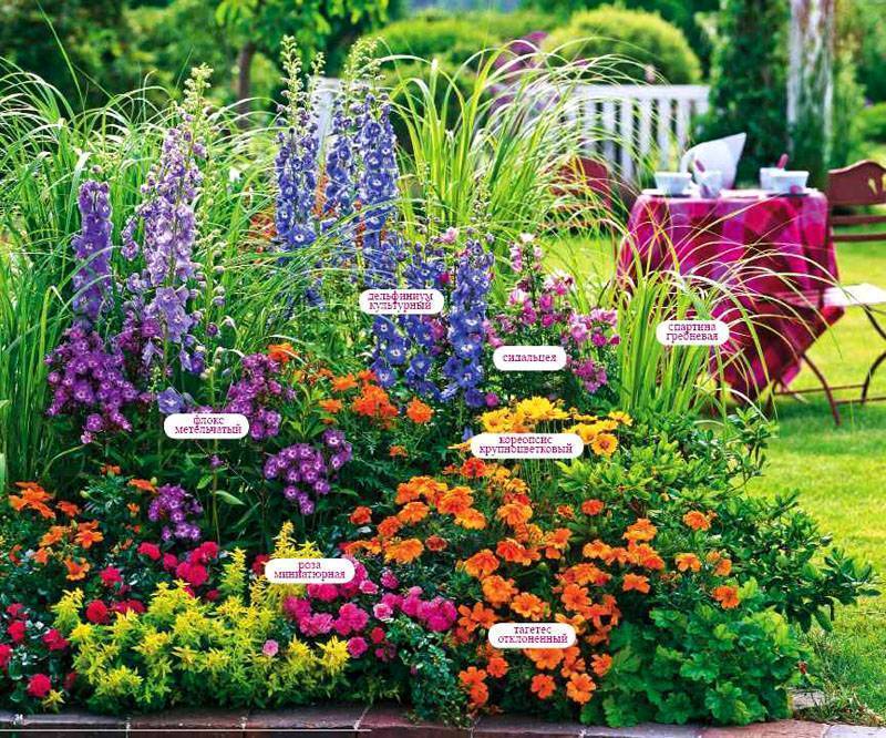 Оформление клумб и цветников: создаем красоту своими руками