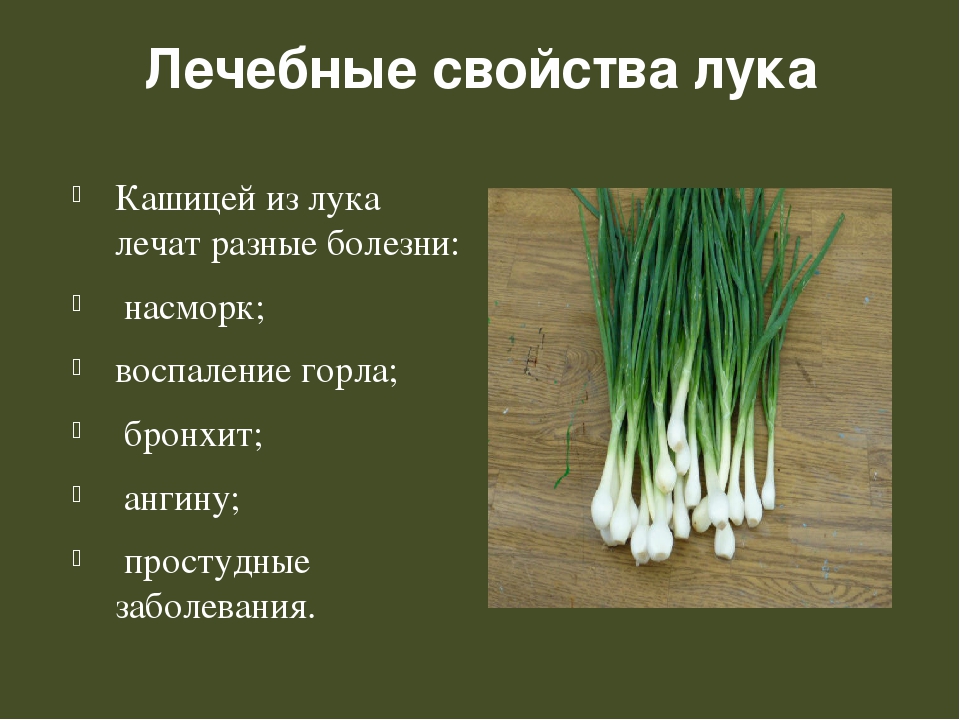Полезные свойства зеленого лука: какой эффект оказывает на здоровье?