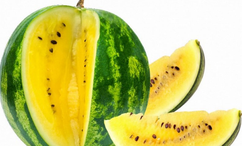 Выращивание арбуза в открытом грунте