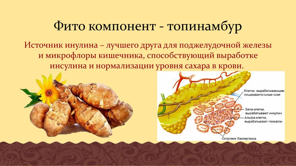 Польза от топинамбура: помощь нашему организму.