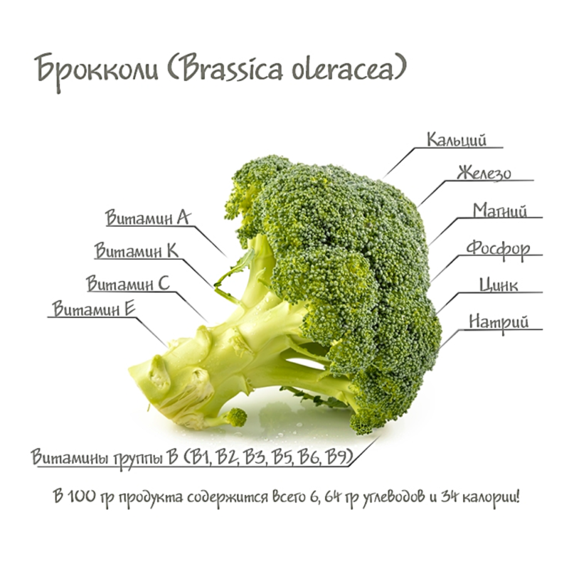 Полезные свойства брокколи