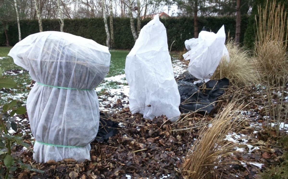 Осенние работы на даче