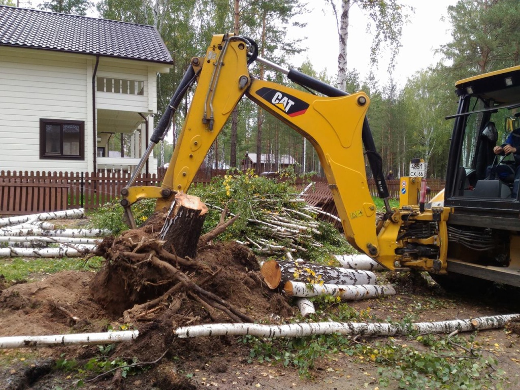 Корчевка пней на участке: удобные способы и полезные советы