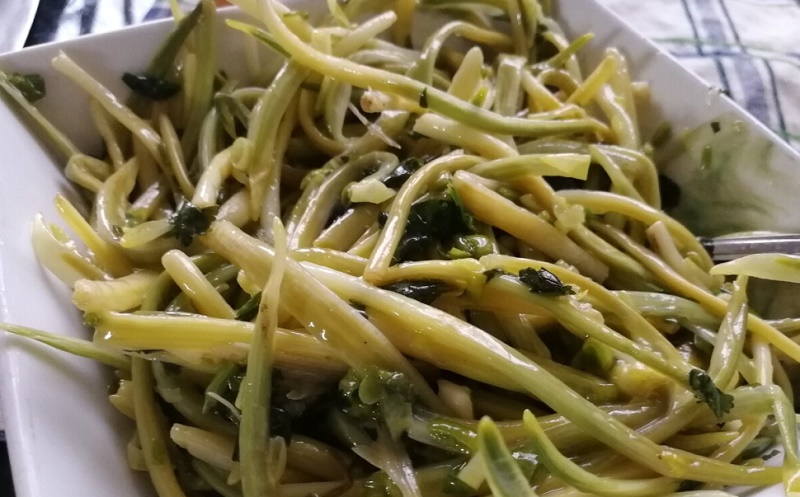 Черемша: уникальные свойства и польза для здоровья