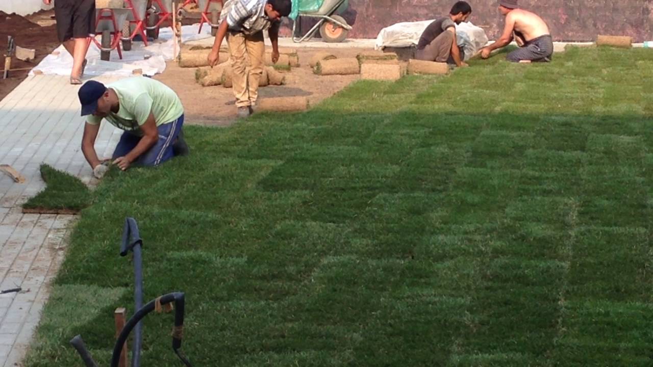 Укладка рулонного газона: легко и красиво!