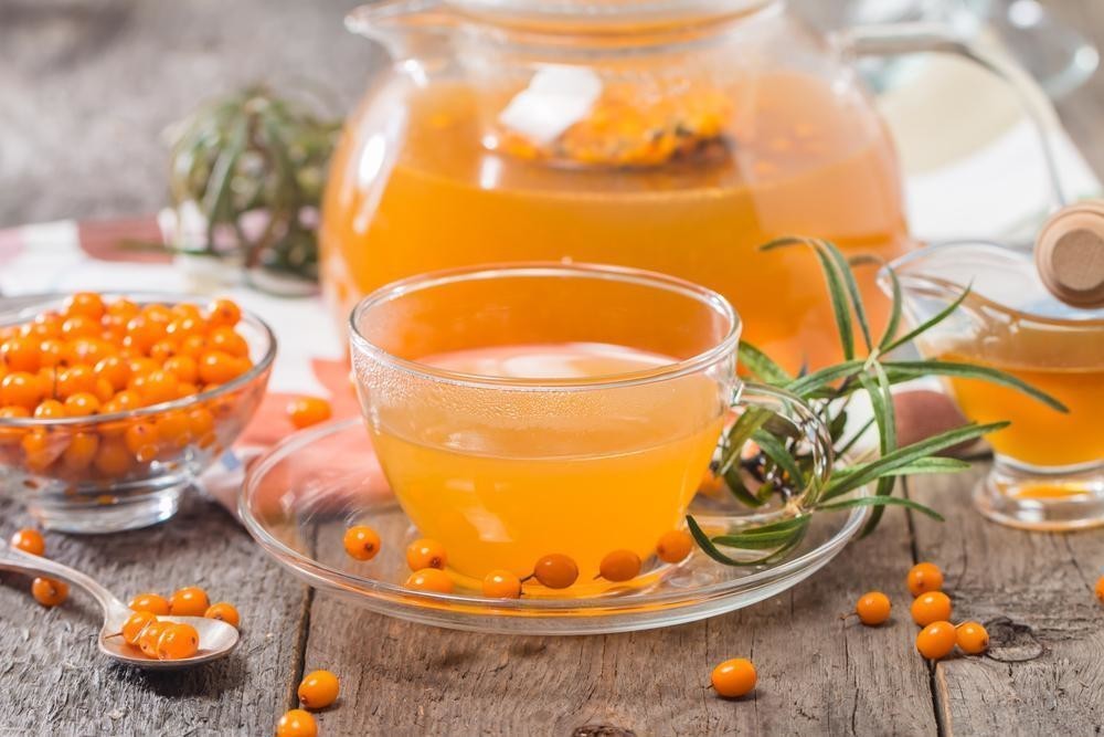 Полезные свойства облепихи