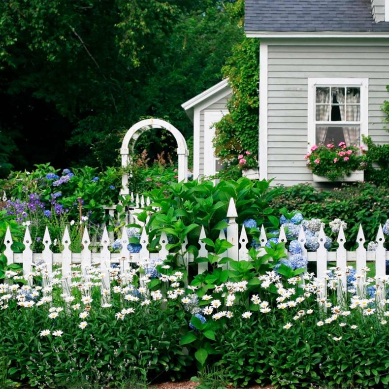 Оформление палисадника: создание красивого уголка природы
