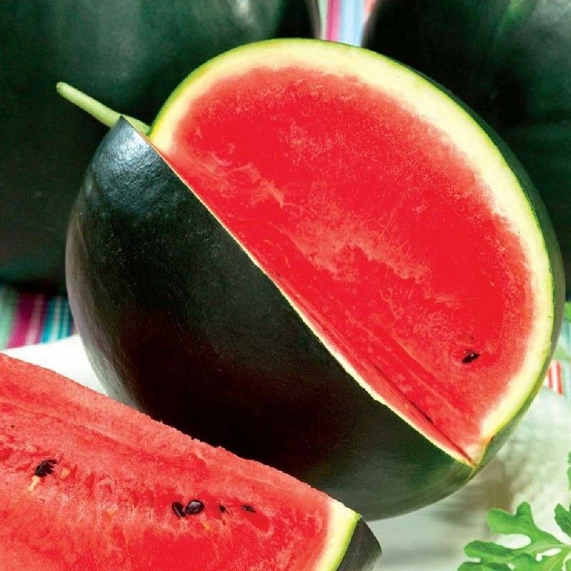 Выращивание арбуза в открытом грунте