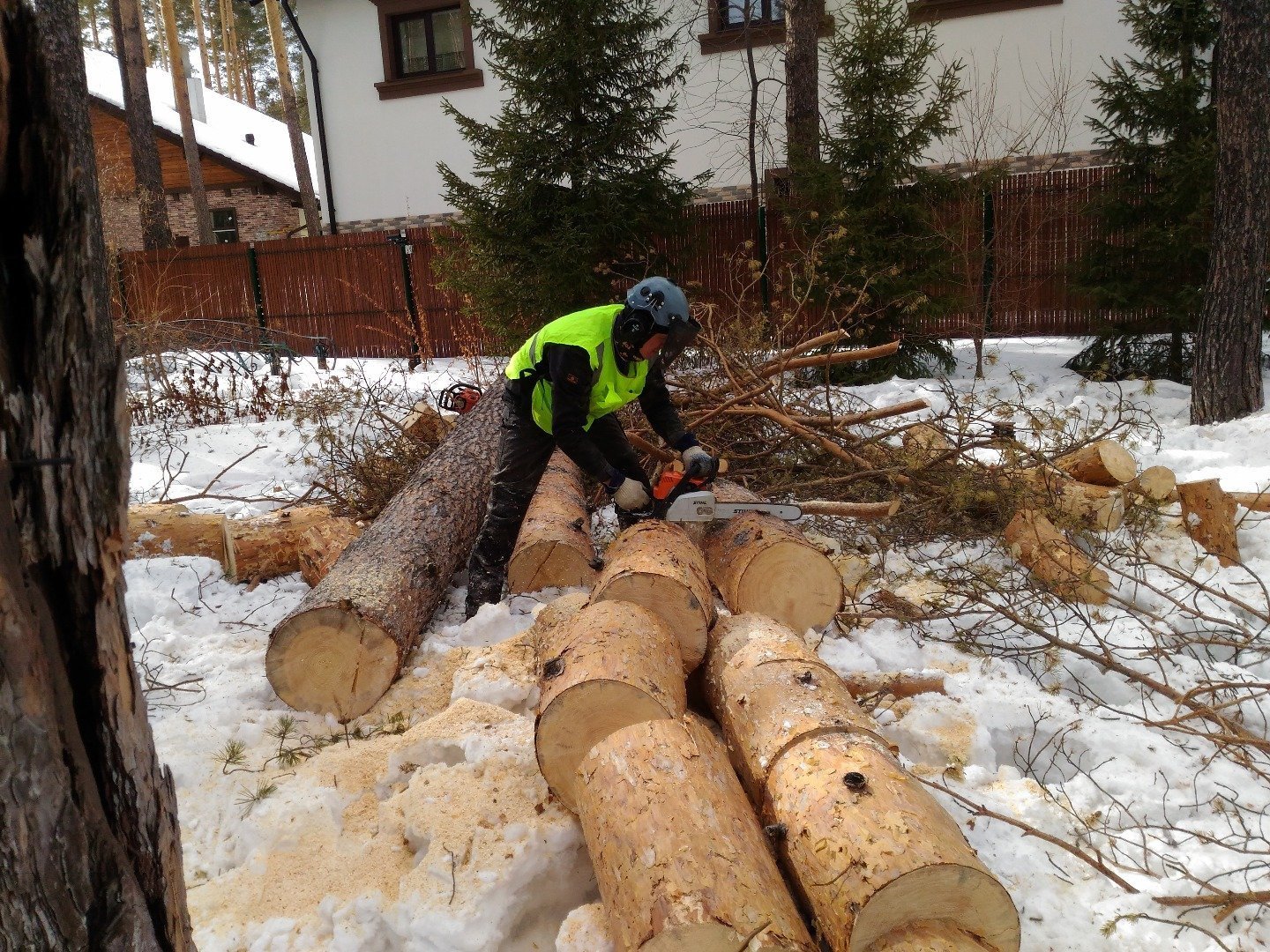 Как правильно спилить деревья бензопилой