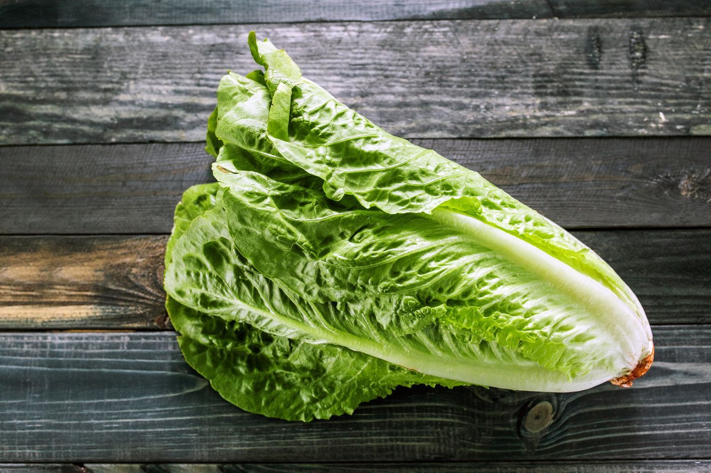 Салат листовой на вашем участке