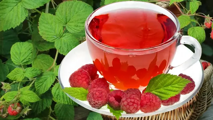 Полезные свойства малины