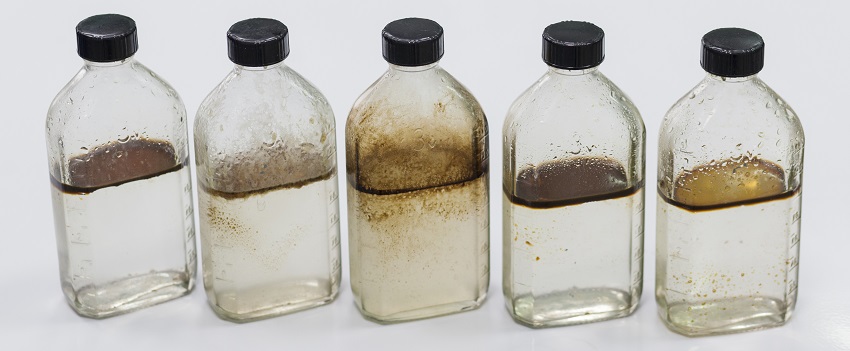 Способы очистки водоёмов на даче: как сохранить красоту природы