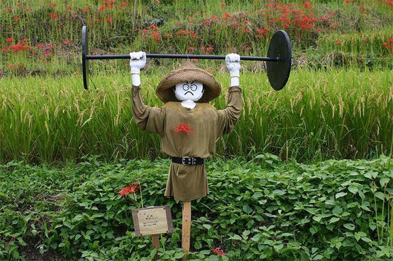 Как сделать огородное чучело