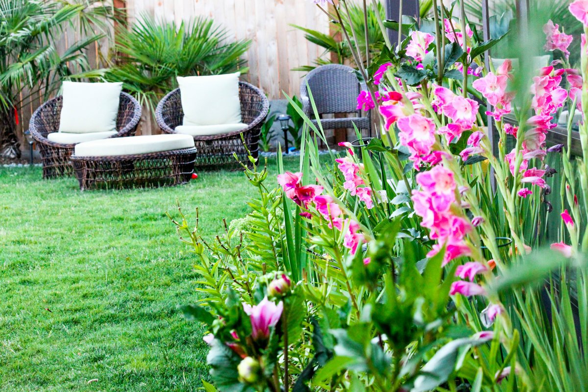 Гладиолусы в дизайне сада