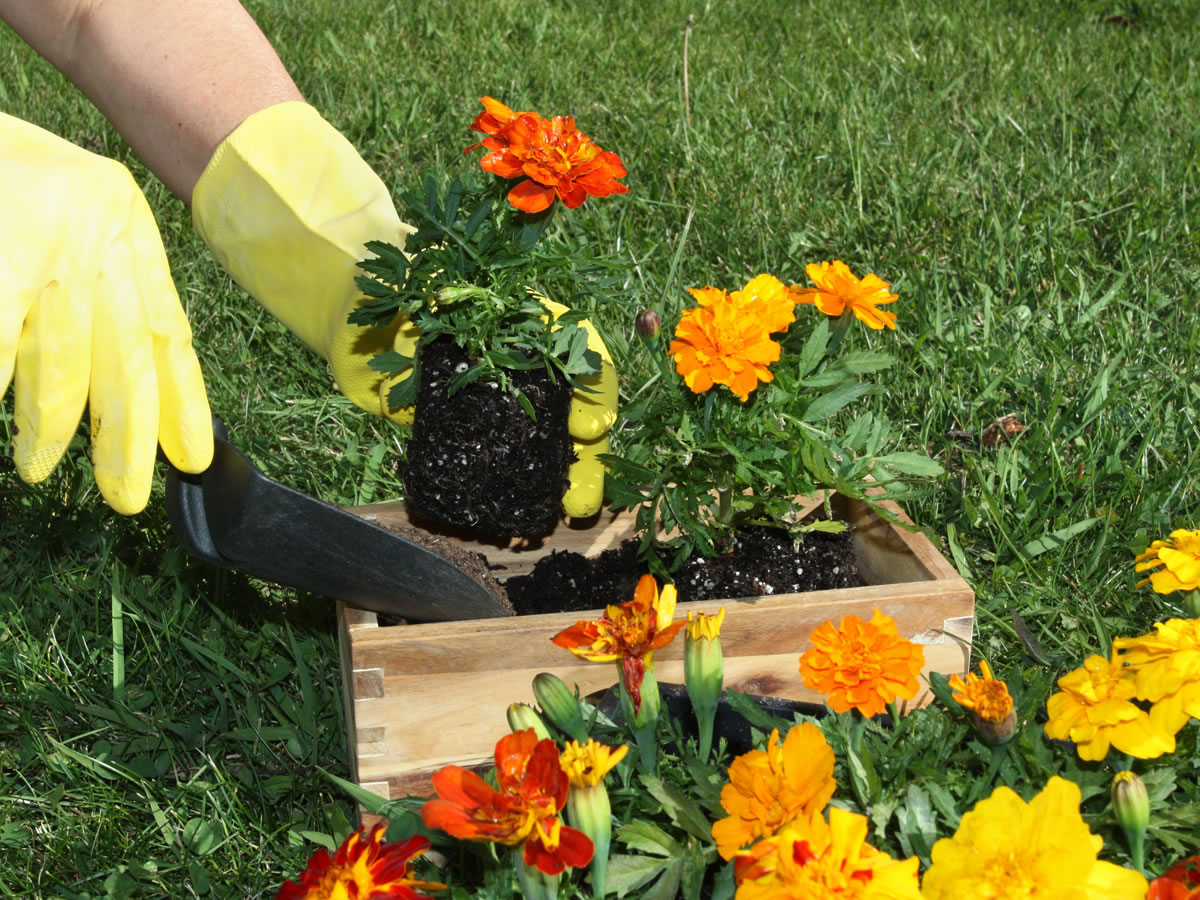 Весенние работы на даче