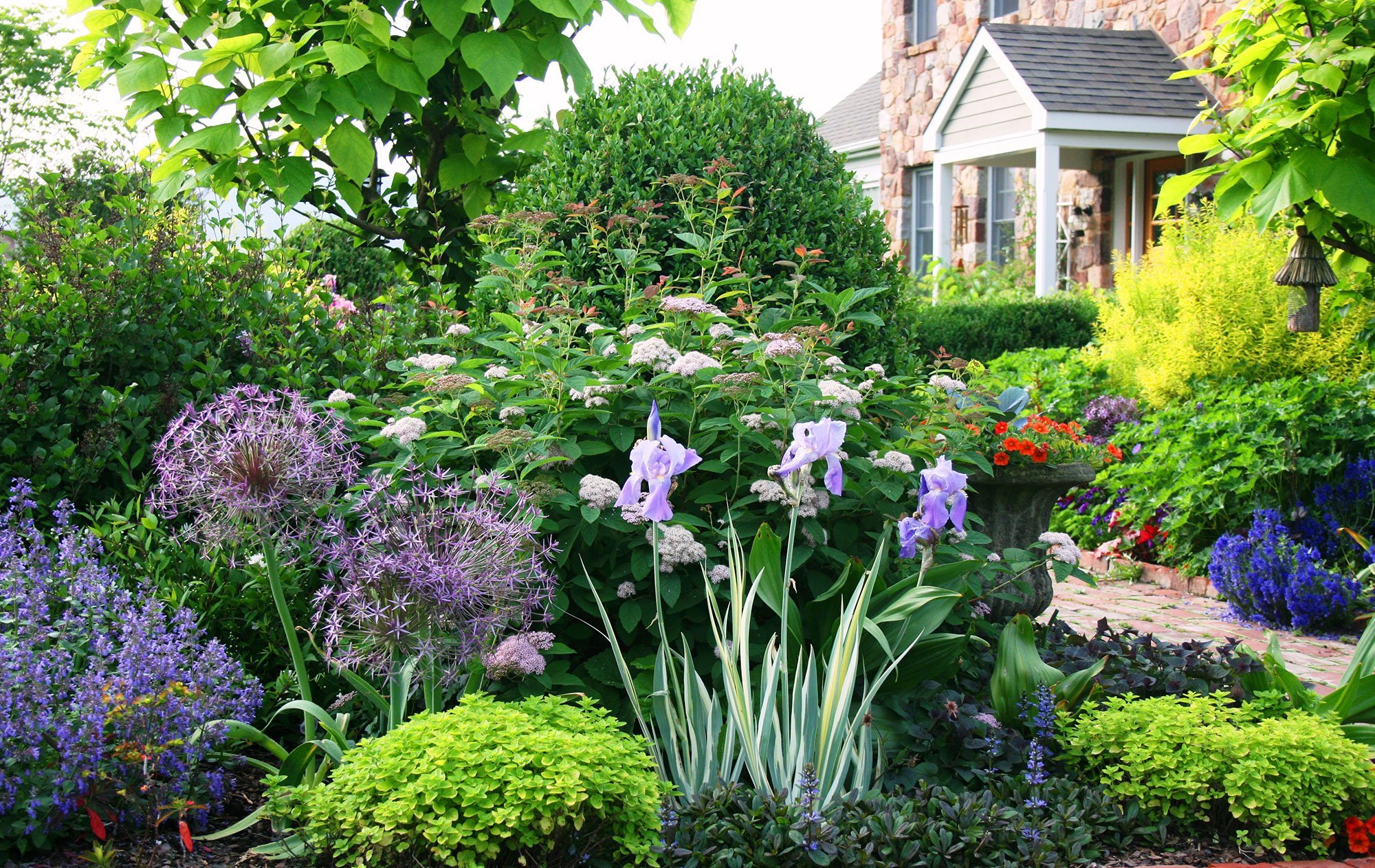Клумба из многолетних цветов: создайте прекрасное украшение для вашего сада