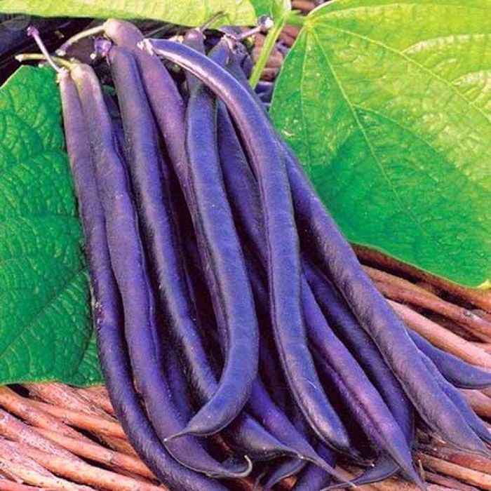 Выращивание спаржевой фасоли: простой и вкусный способ включить ее в свой сад