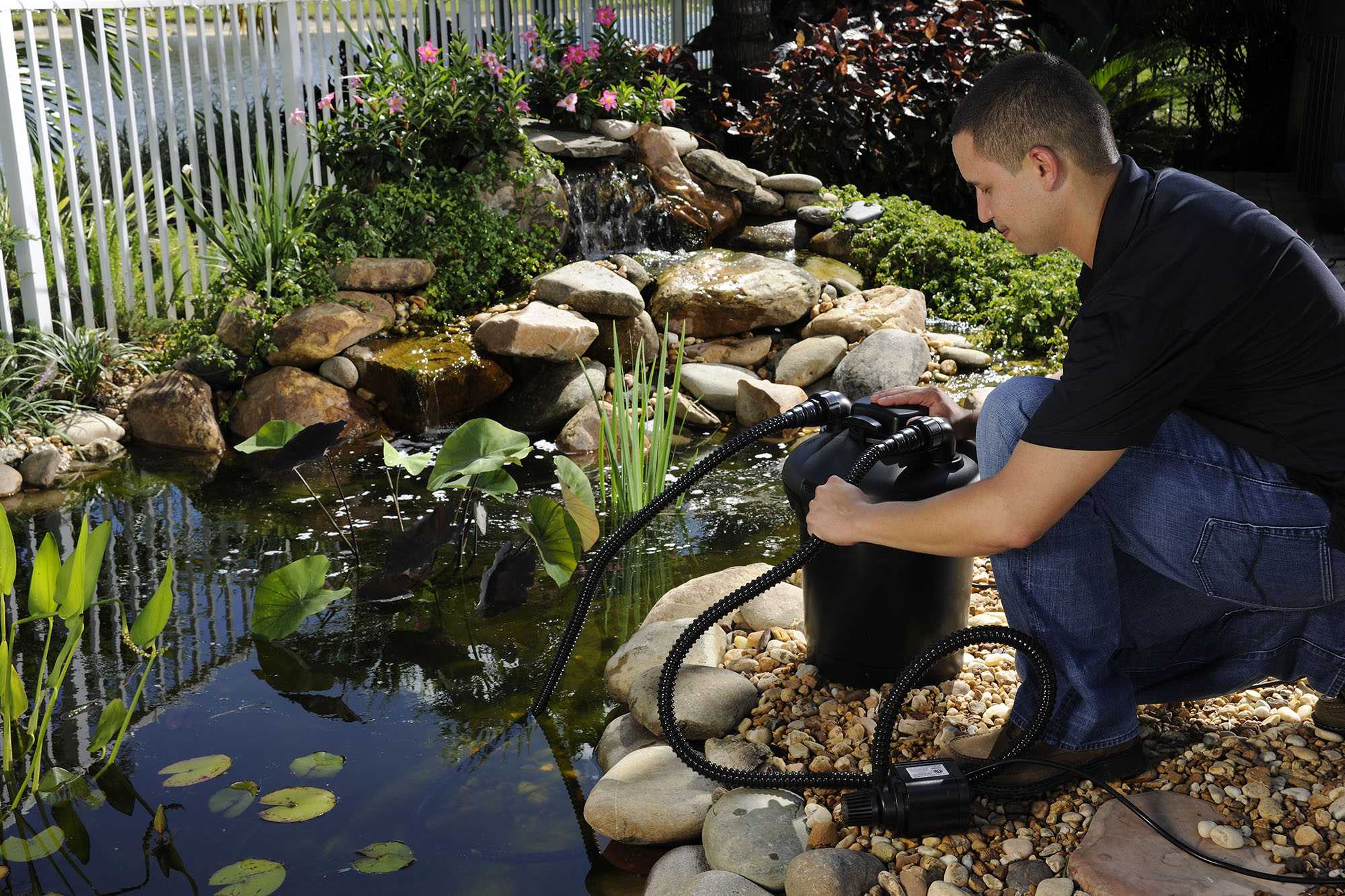 Способы очистки водоёмов на даче: как сохранить красоту природы