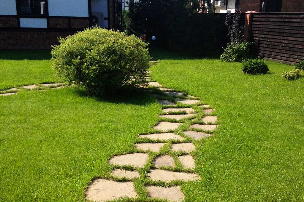 Садовые дорожки из камня