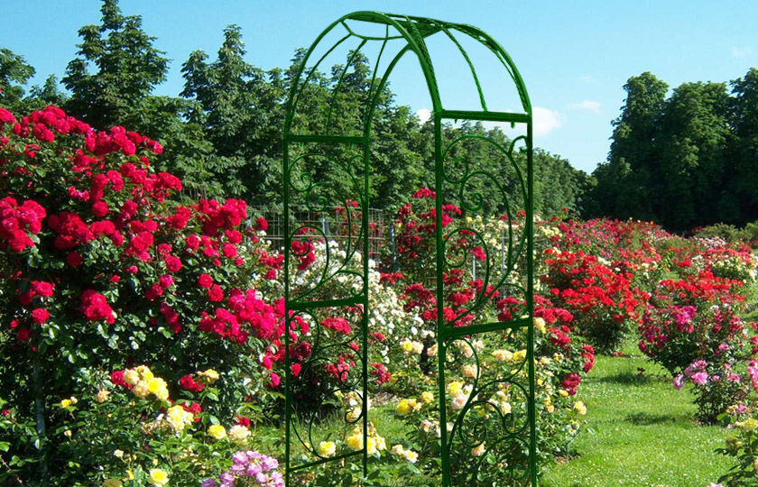 Опоры для вьющихся растений: поддерживайте своих зеленых друзей