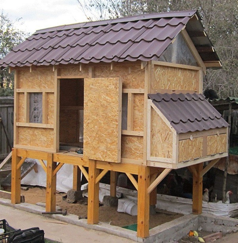 Как построить курятник?