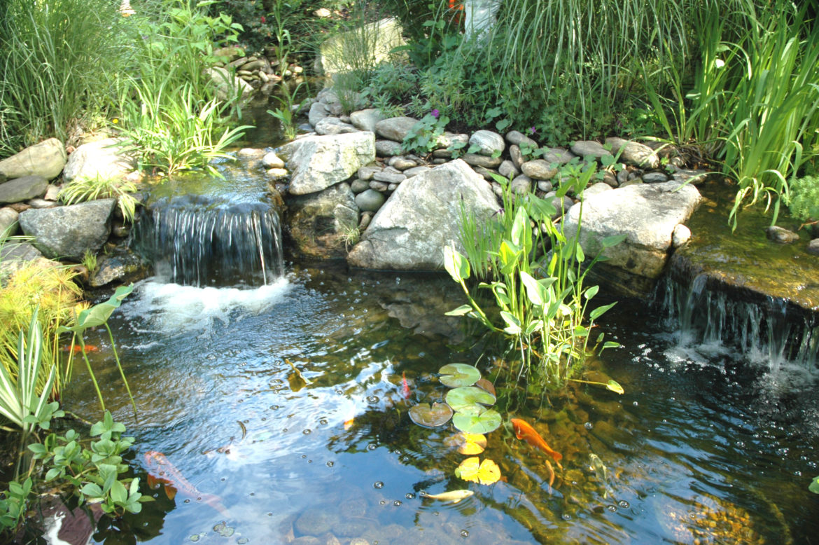 Фильтр для очистки пруда: как выбрать и настроить правильно