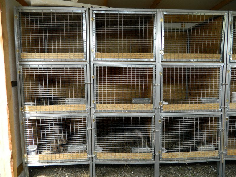 Как построить крольчатник: руководство для начинающих