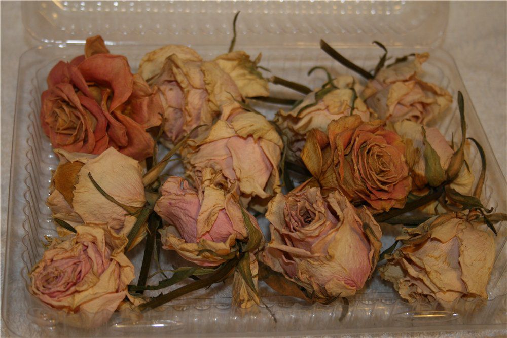 Что можно сделать с лепестками увядающей розы?