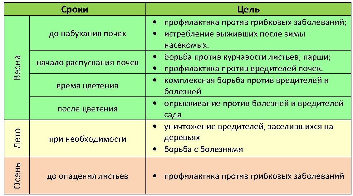 Обработка яблонь весной: как обеспечить здоровый рост и обильный урожай