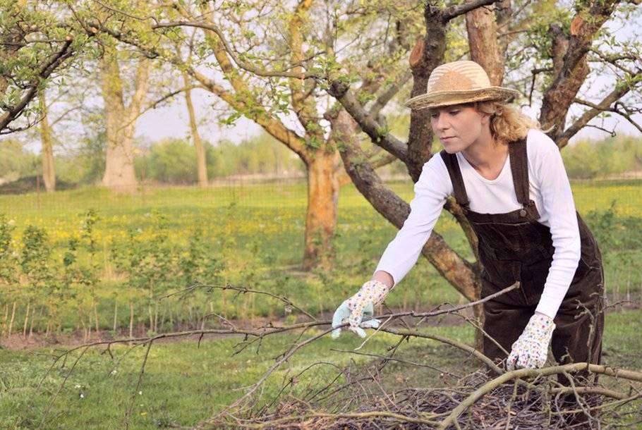 Весенние работы на даче