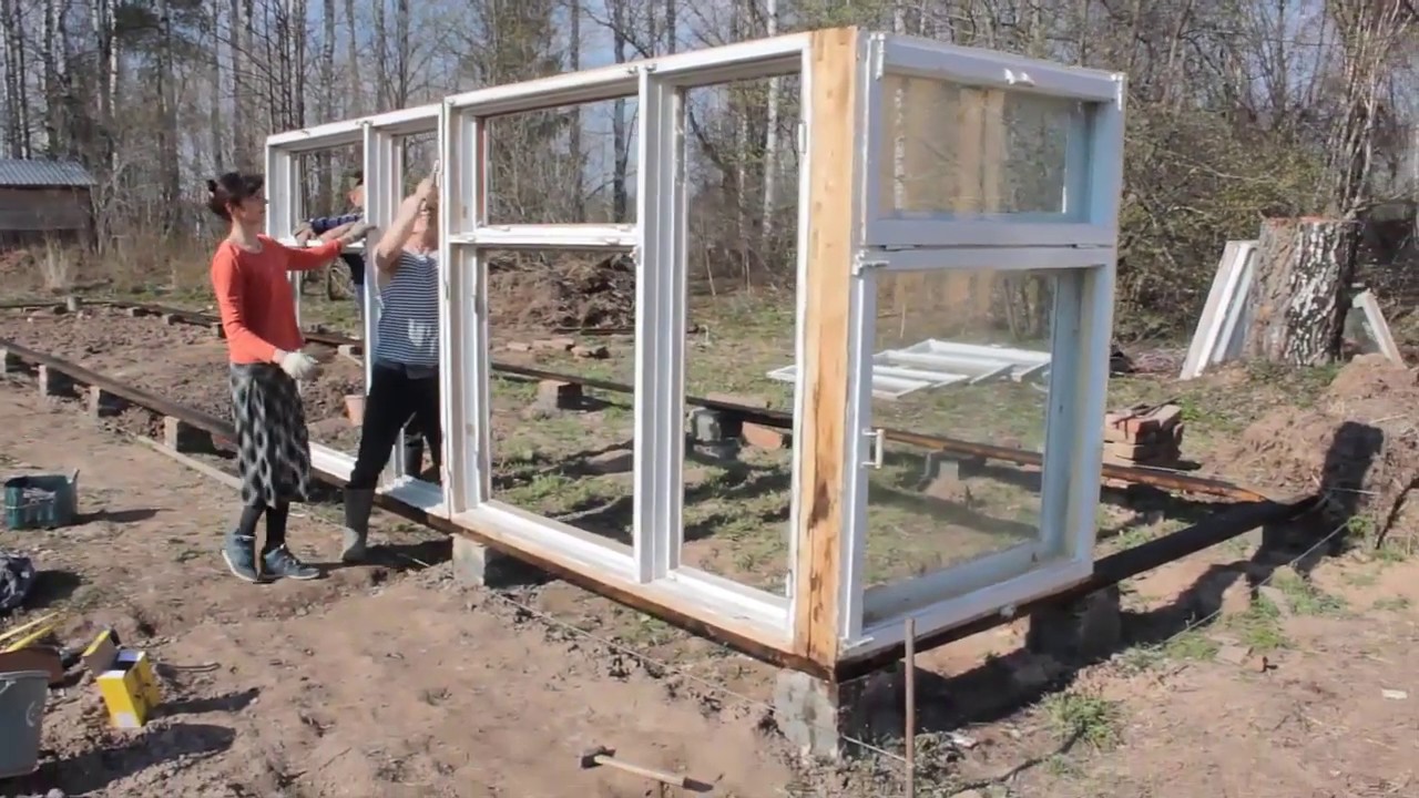 Теплица из старых окон своими руками