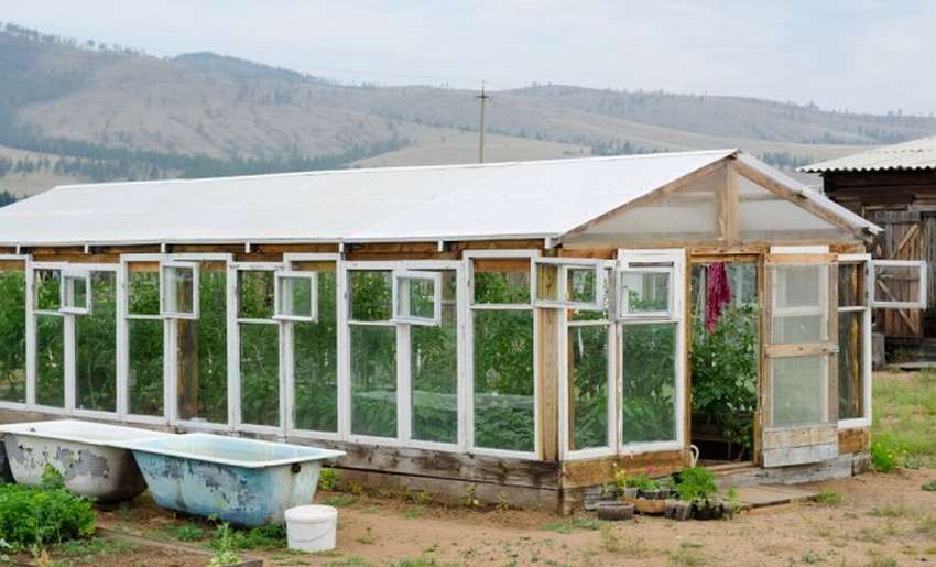 Теплица из старых окон своими руками