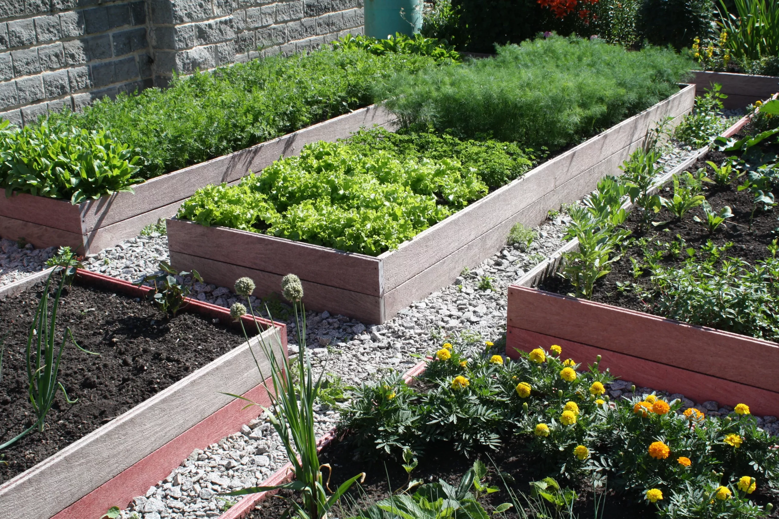 Бордюры для грядок своими руками: создайте уникальный дизайн для вашего сада