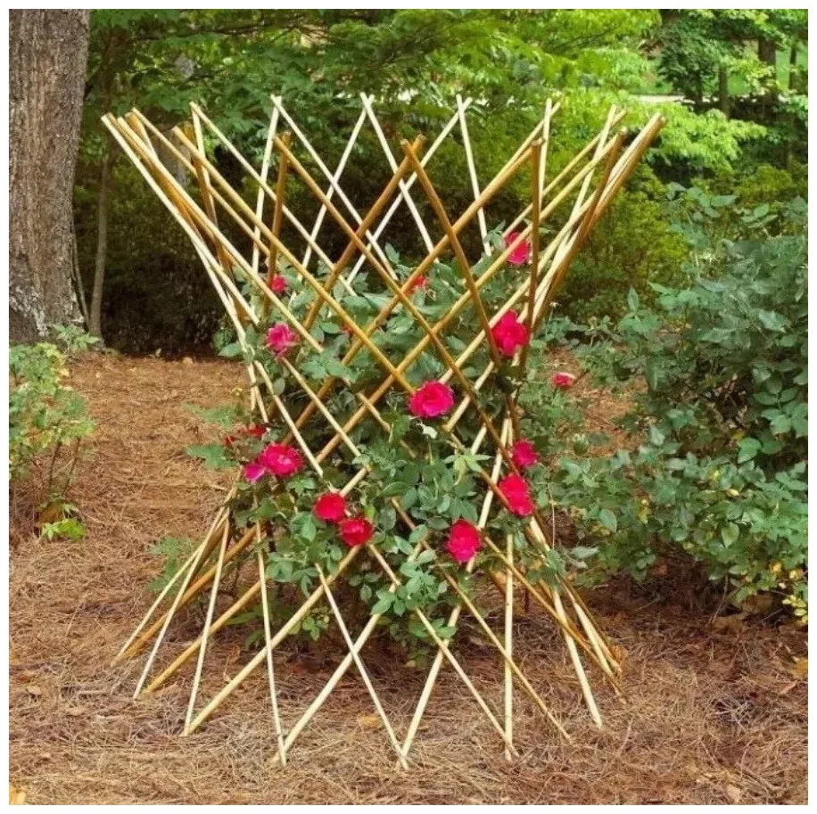 Опоры для вьющихся растений: поддерживайте своих зеленых друзей