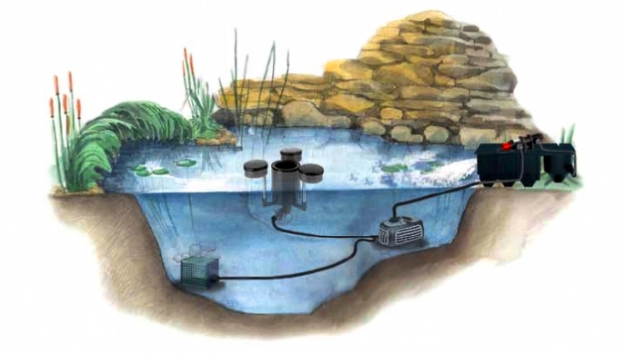 Фильтр для очистки пруда: как выбрать и настроить правильно