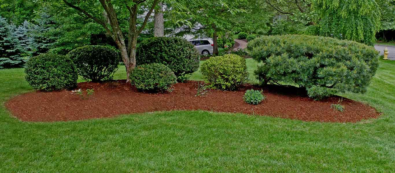 Декоративная щепа в ландшафтном дизайне